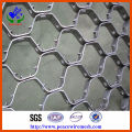 High Quality Hexagonal Tortoiseshell Net (HP-CX)